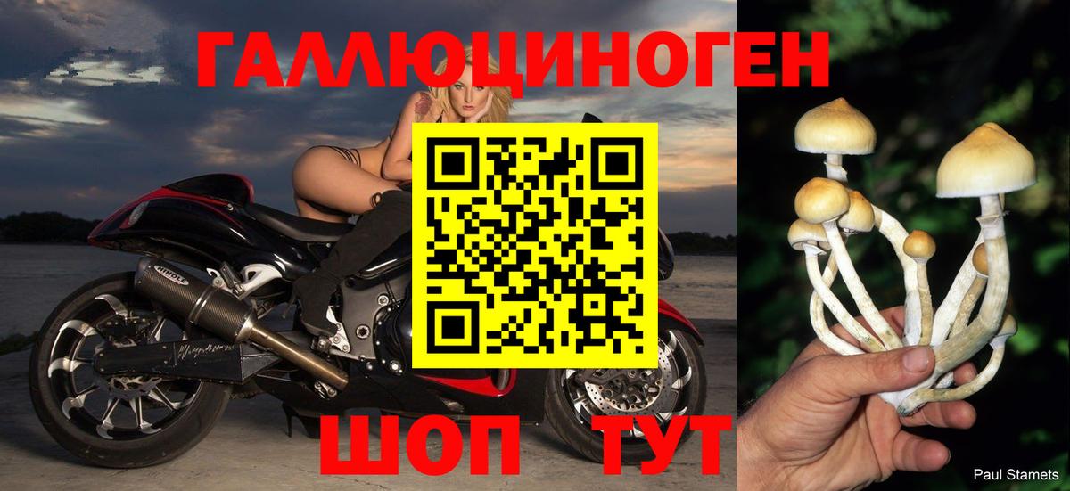 Красноярск  Галлюциногенные грибы мухоморы  Вход с VPN  Галлюциногенные грибы мухоморы 